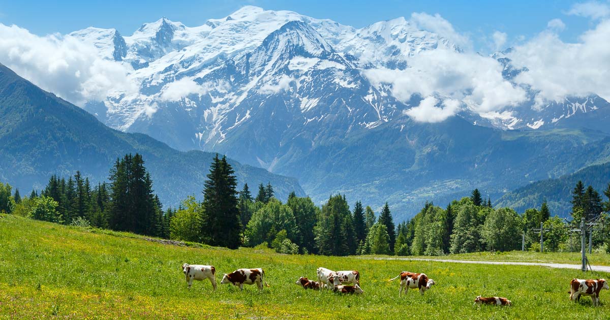 French Alps Hike + Bike Tour | Multi-Sport Adventure in Mont Blanc